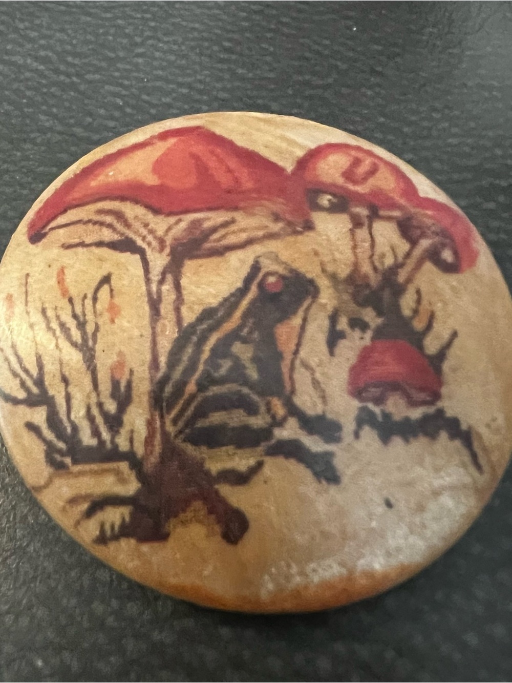 Hand-Painted Mushroom & Frog Wooden Pin - Red Accents